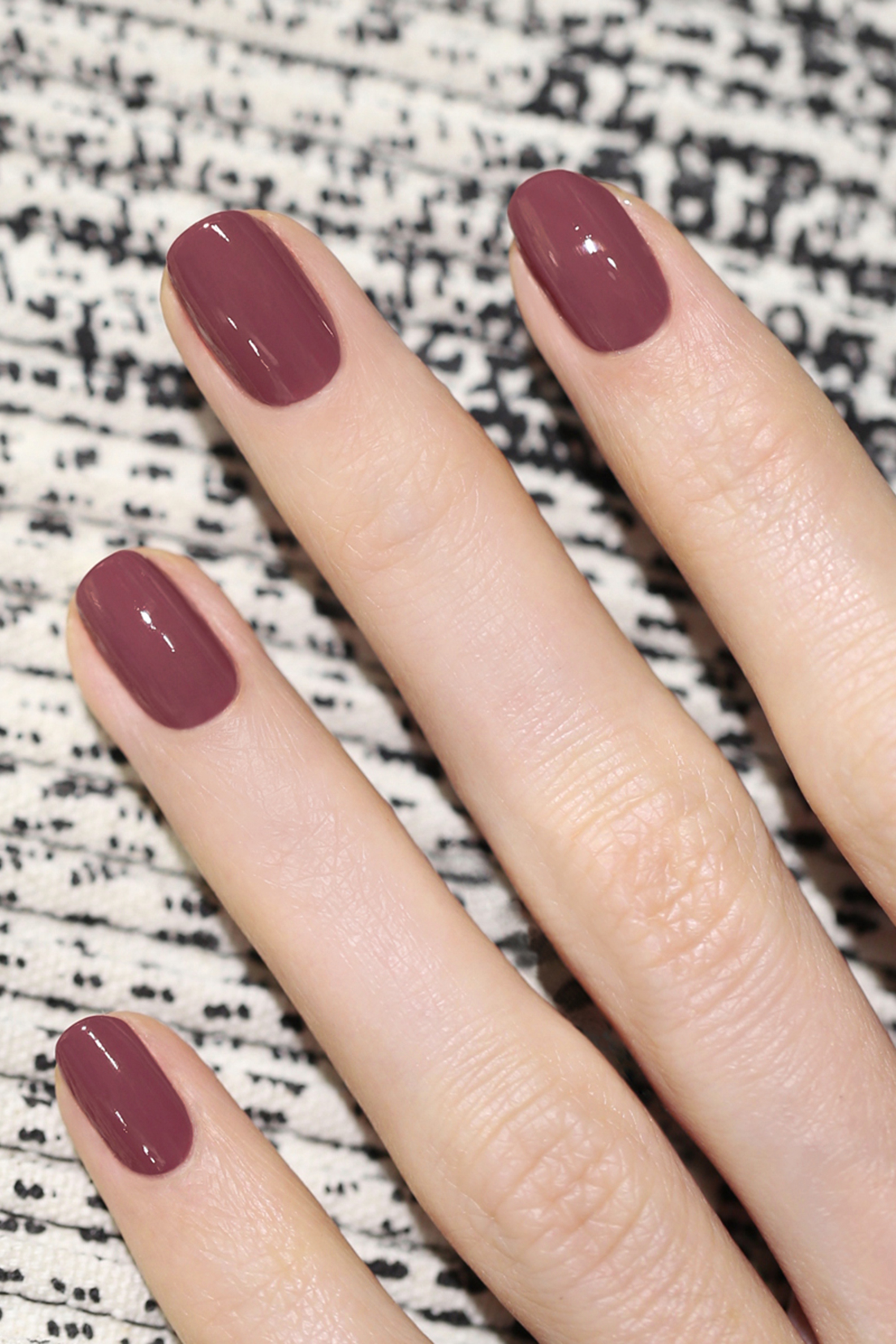 Victoria plum