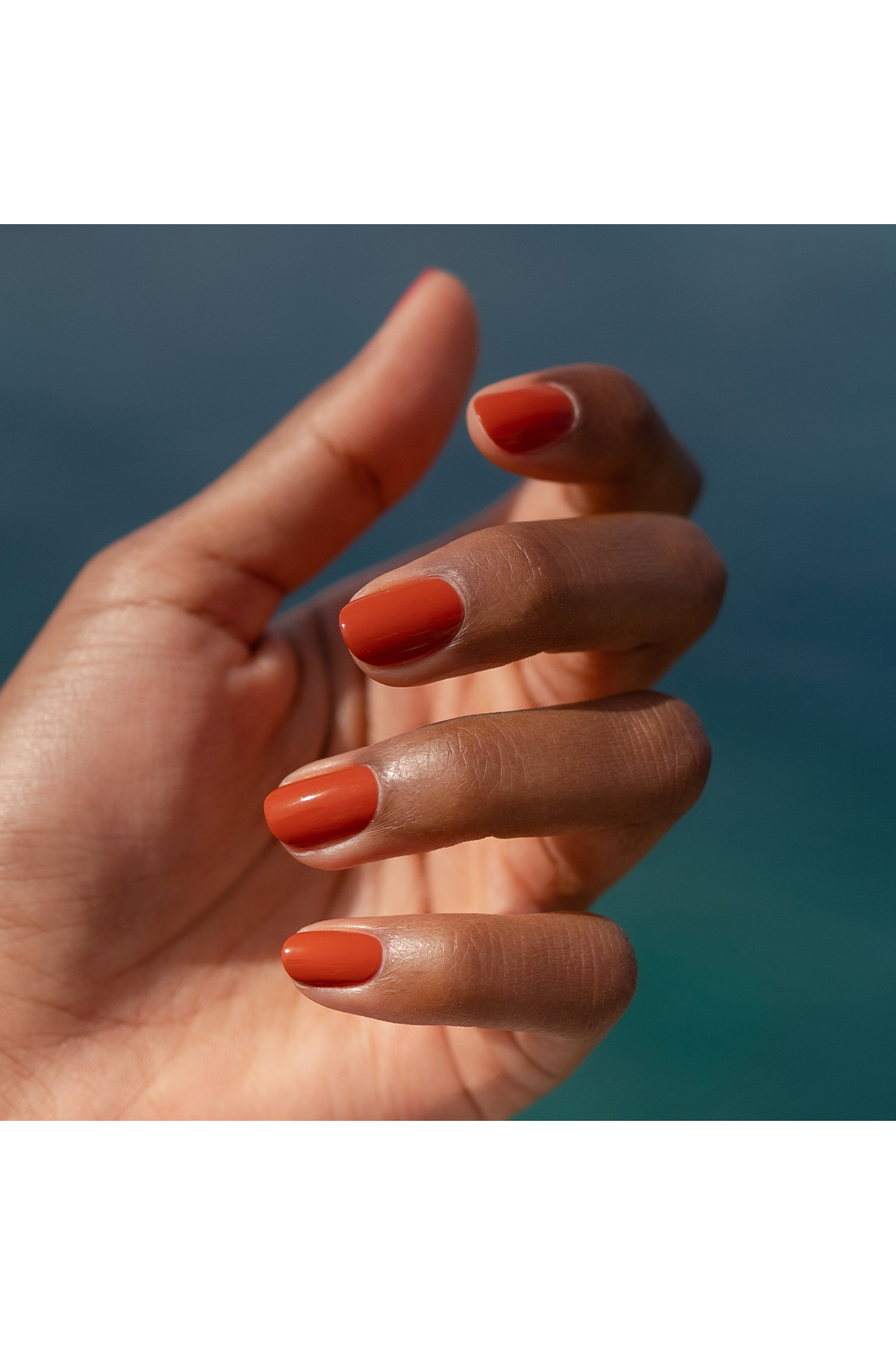 Terracotta