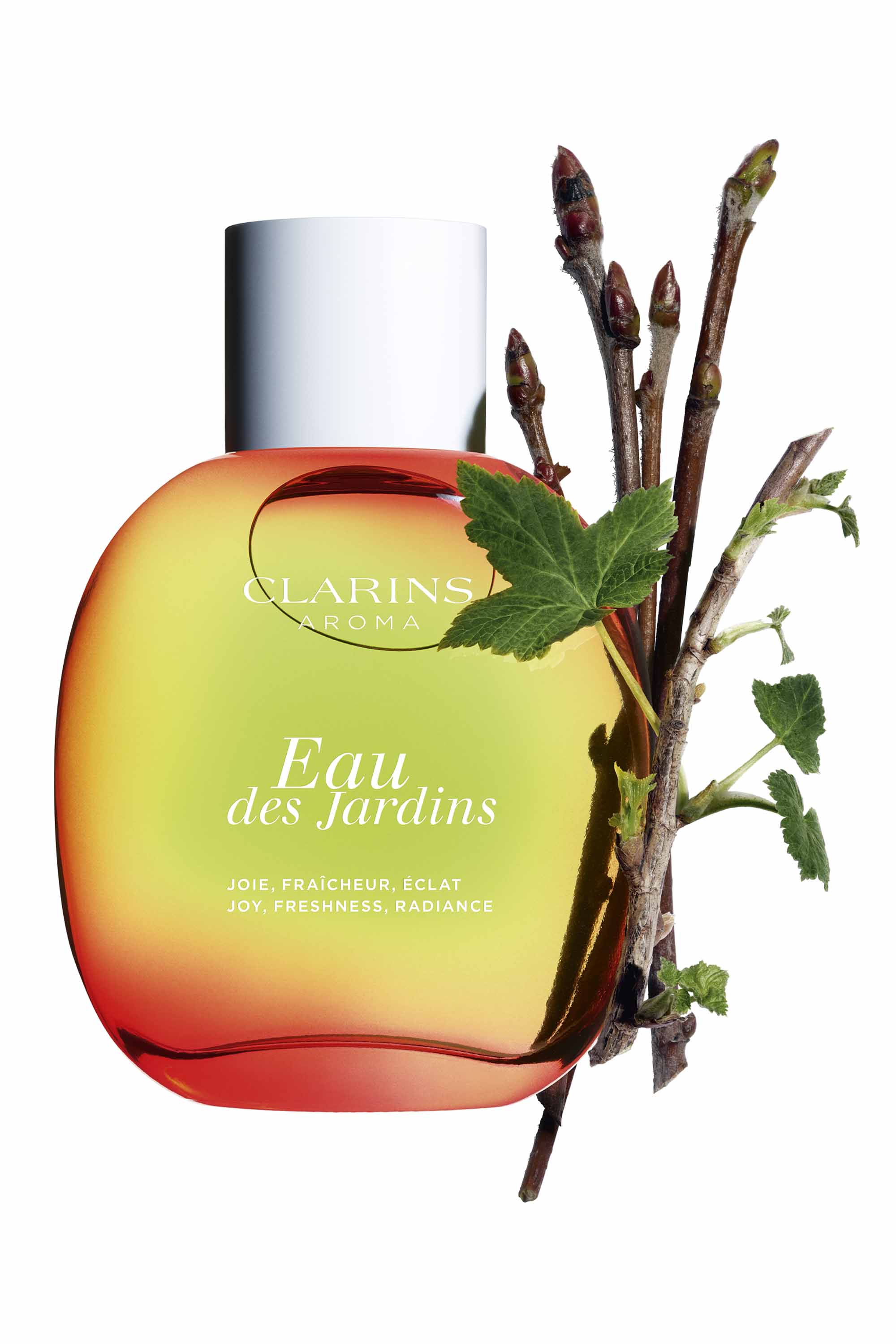 100ml