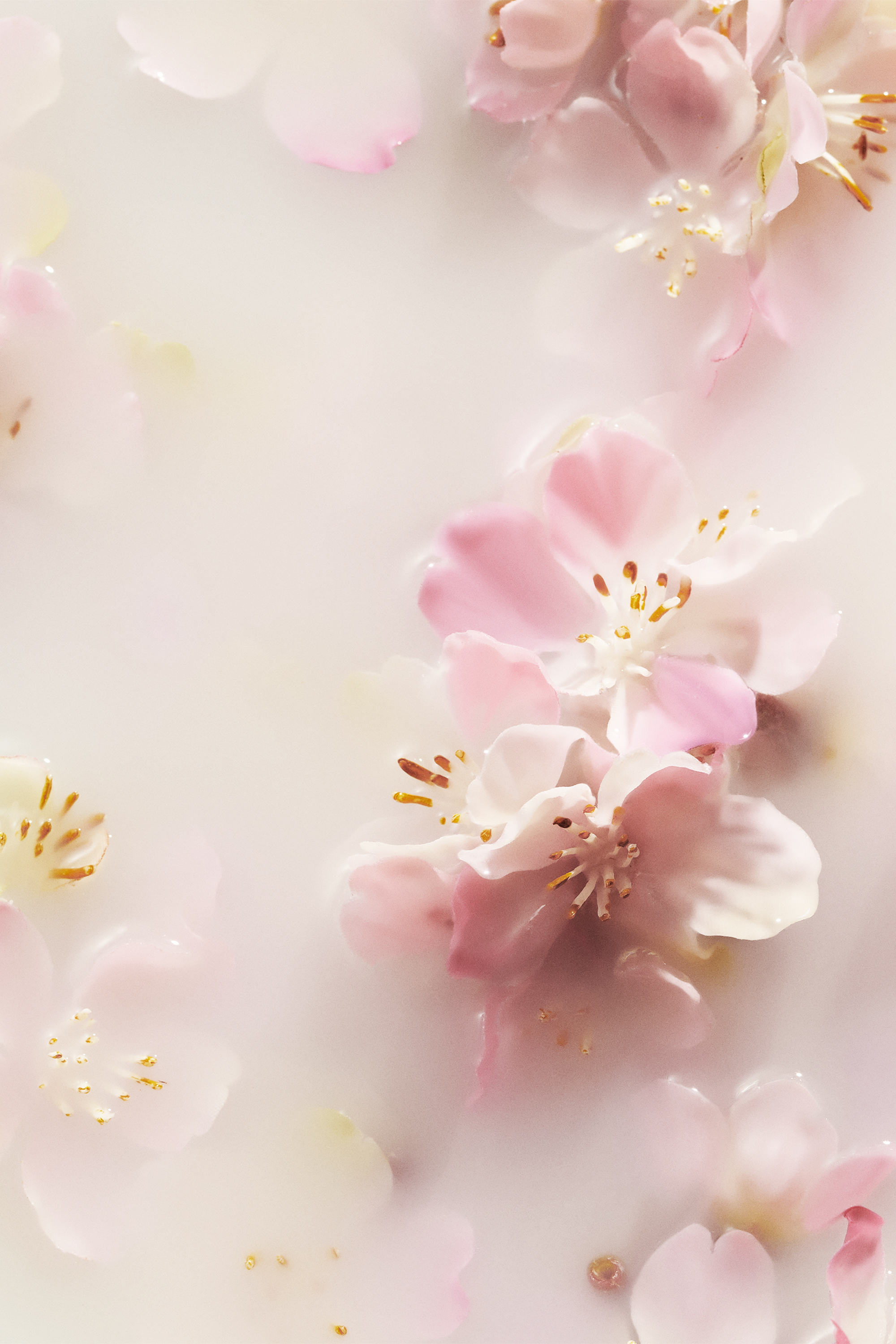 Crème pour les mains The Ritual of Sakura