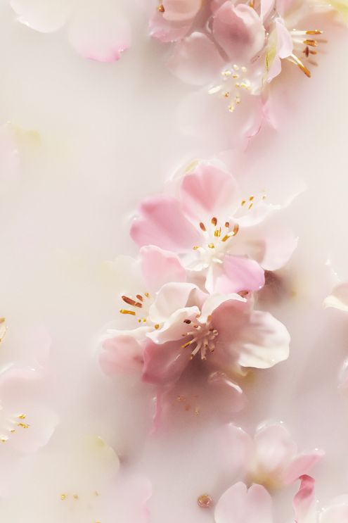 Rituals - Brume pour le corps et les cheveux The Ritual of Sakura - Blissim