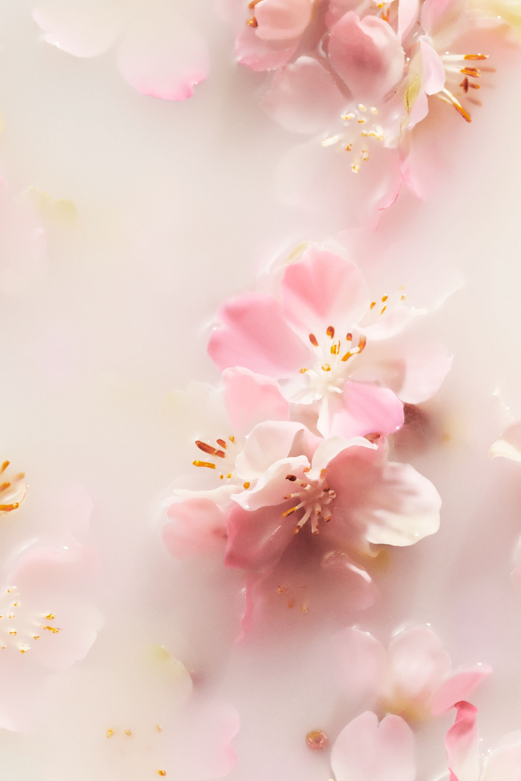 Coffret ressourçant The Ritual of Sakura L