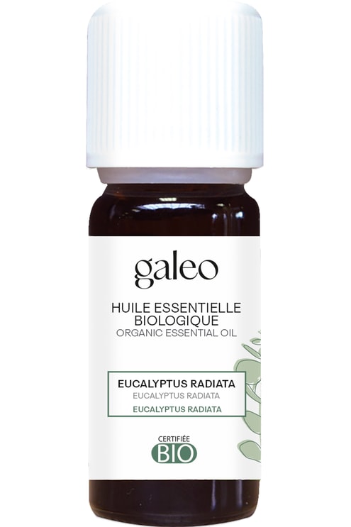 Huile essentielle biologique Eucalyptus Radiata