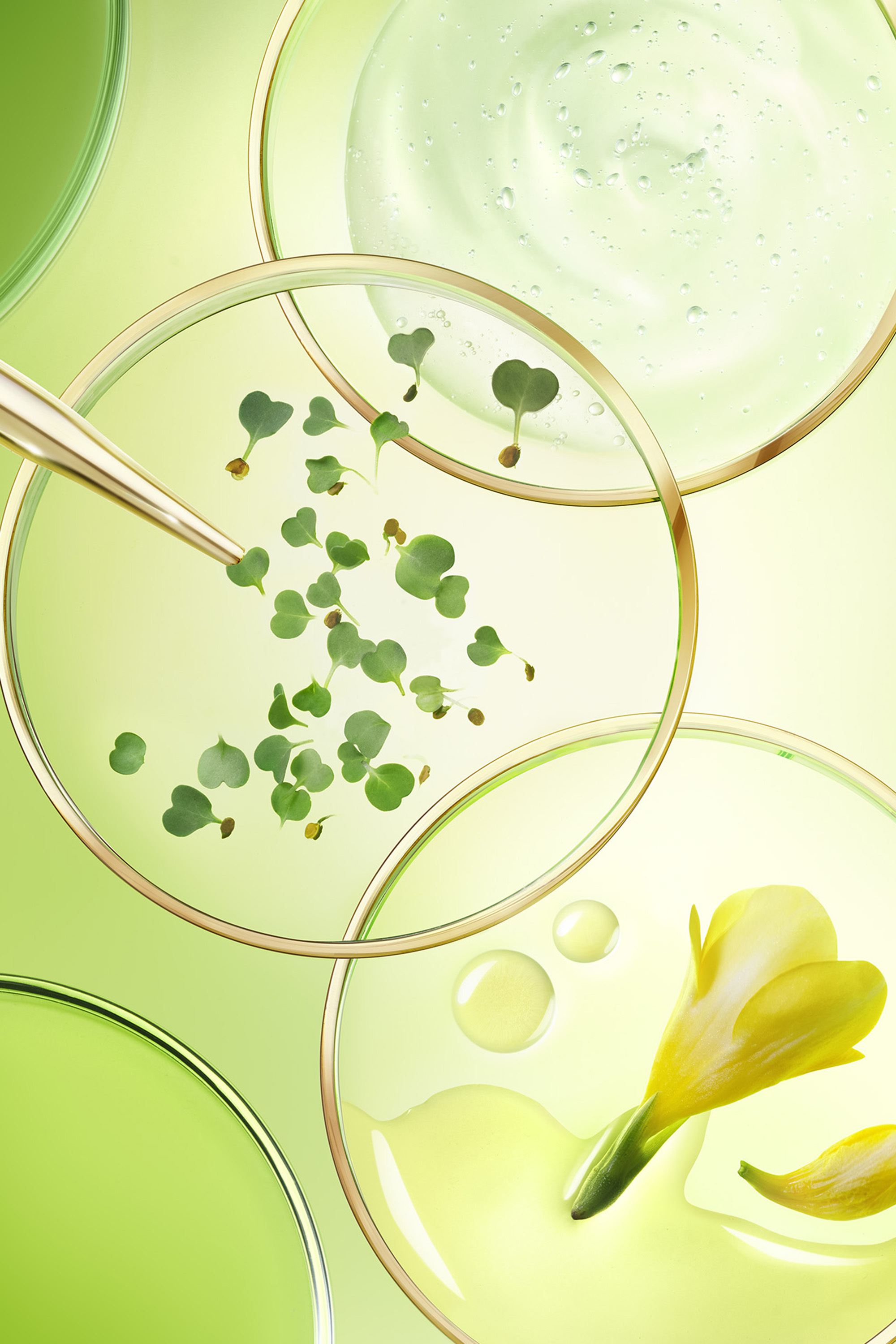Crème riche anti-âge global Nuxuriance Ultra