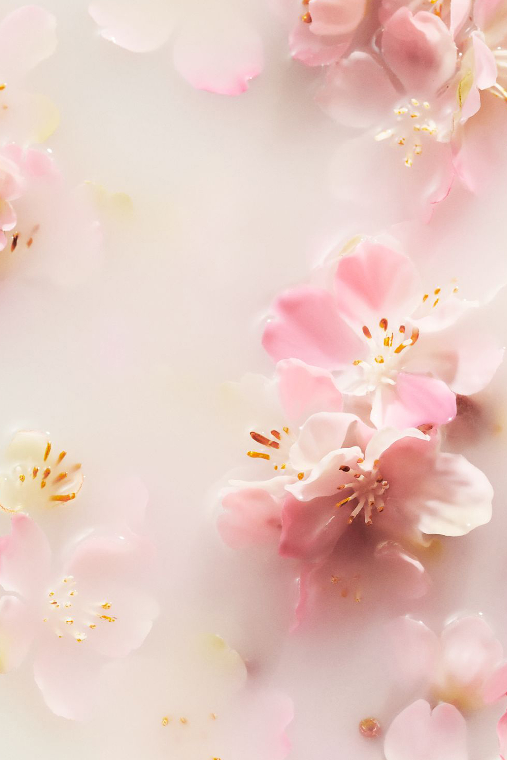 Brume corps & cheveux The Ritual of Sakura