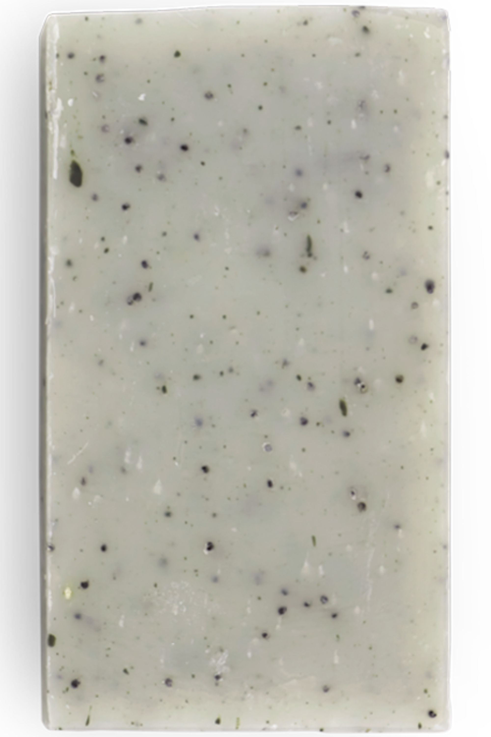 Savon solide exfoliant le Gecko