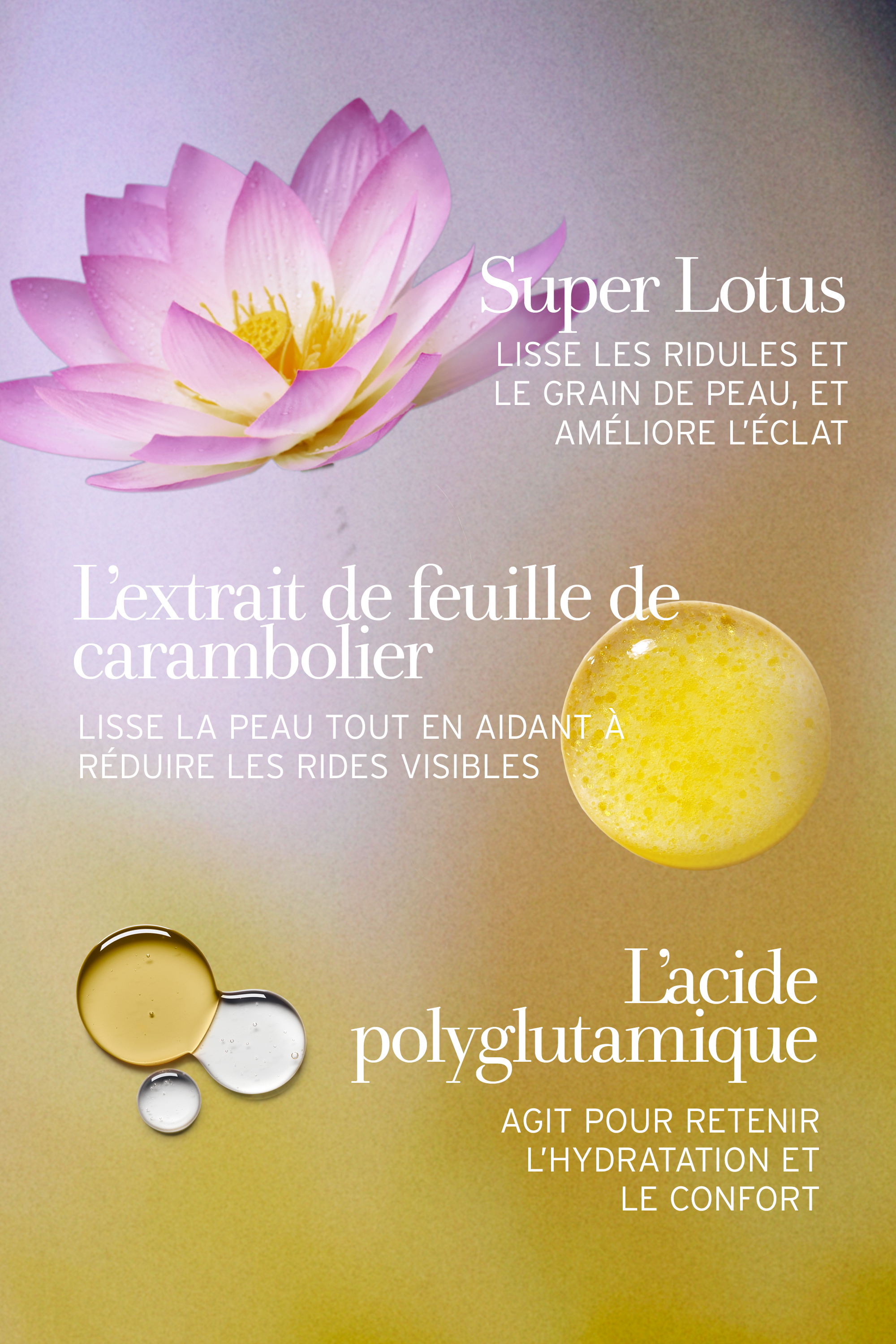 Crème de jour au lotus et à la vitamine E