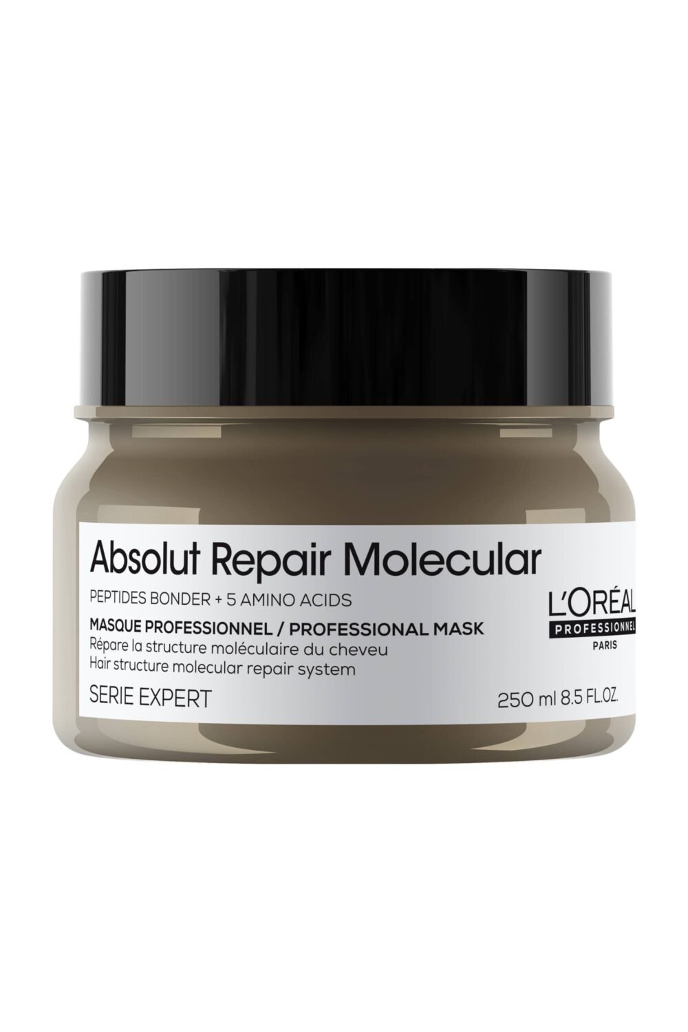 Masque pour cheveux abimés Absolut Repair Molecular