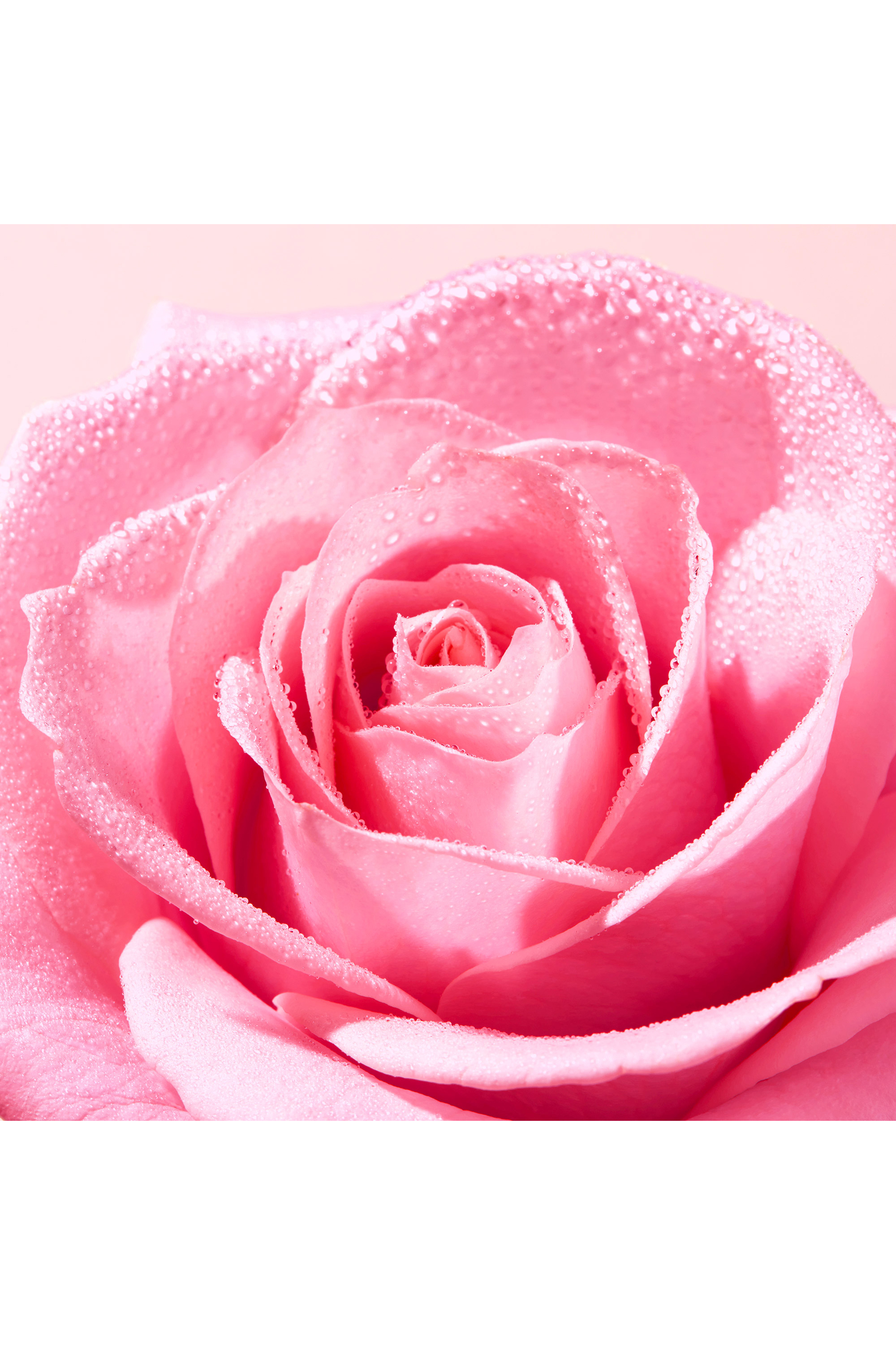 Gommage éclat visage Very Rose