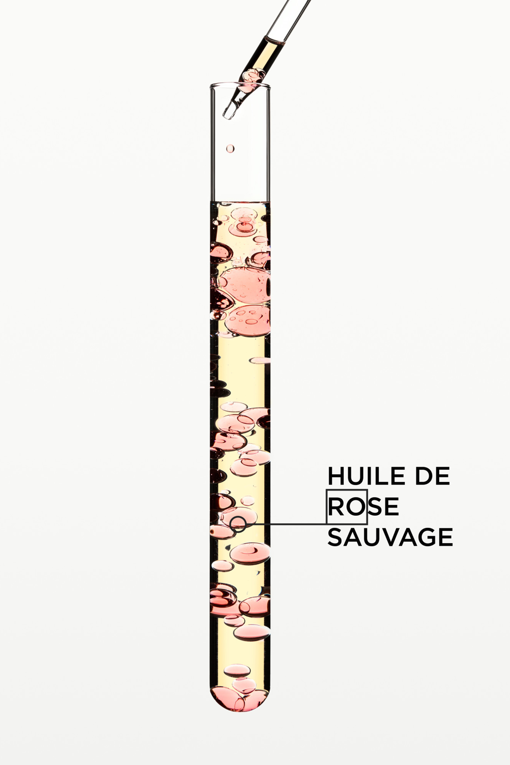 Huile Gloss Absolu