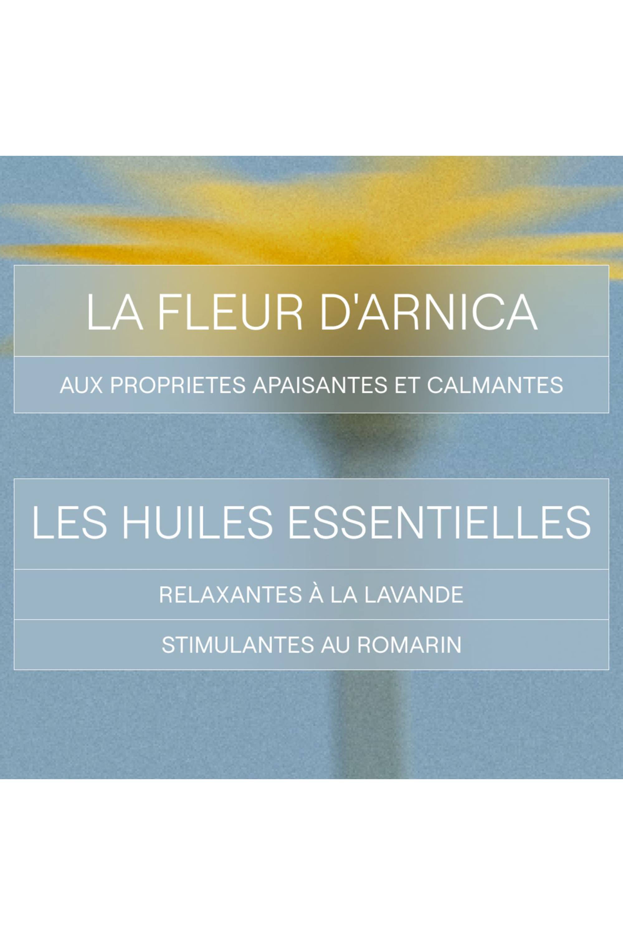 Huile de massage à l’arnica