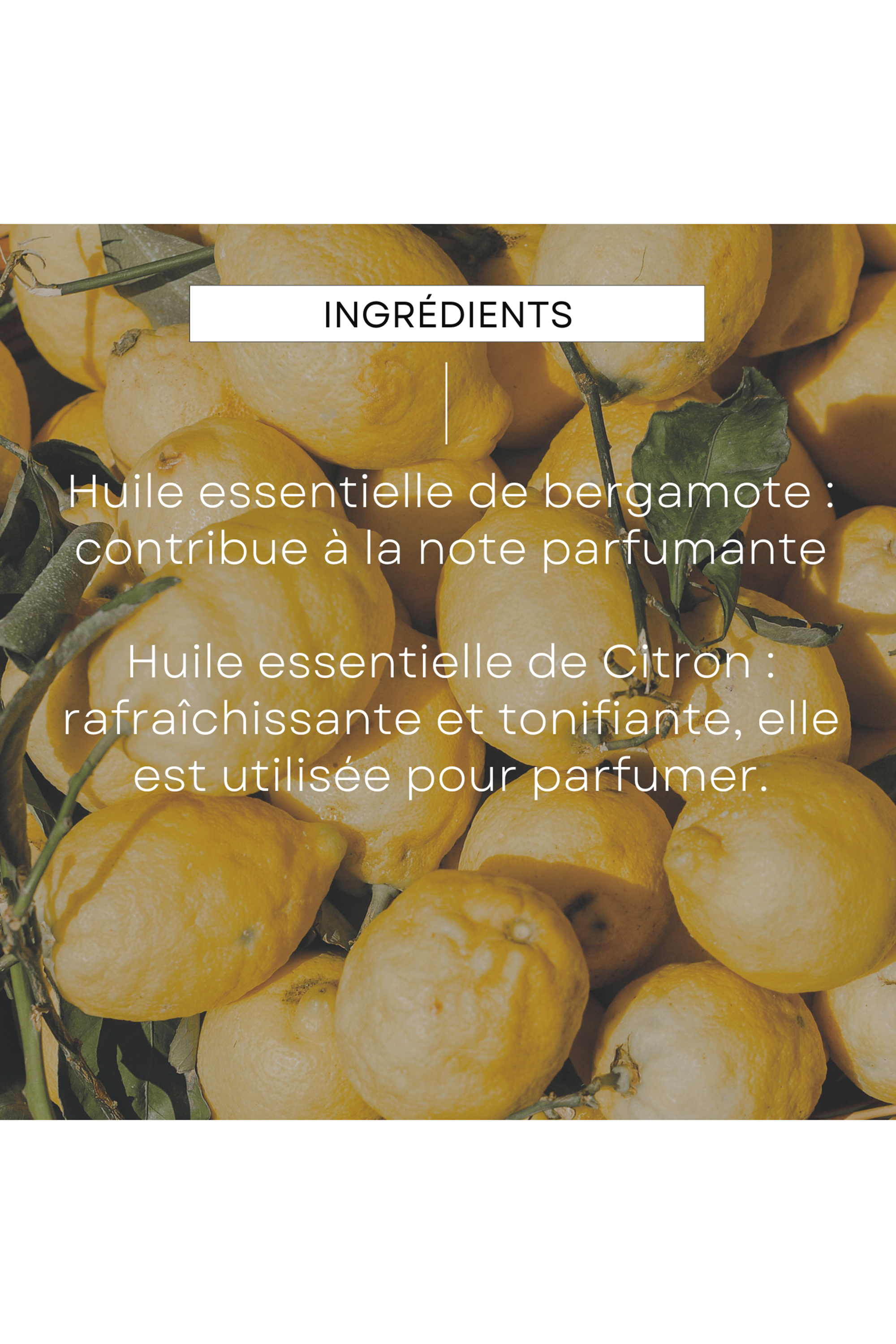 Déodorant stick citrus bergamot