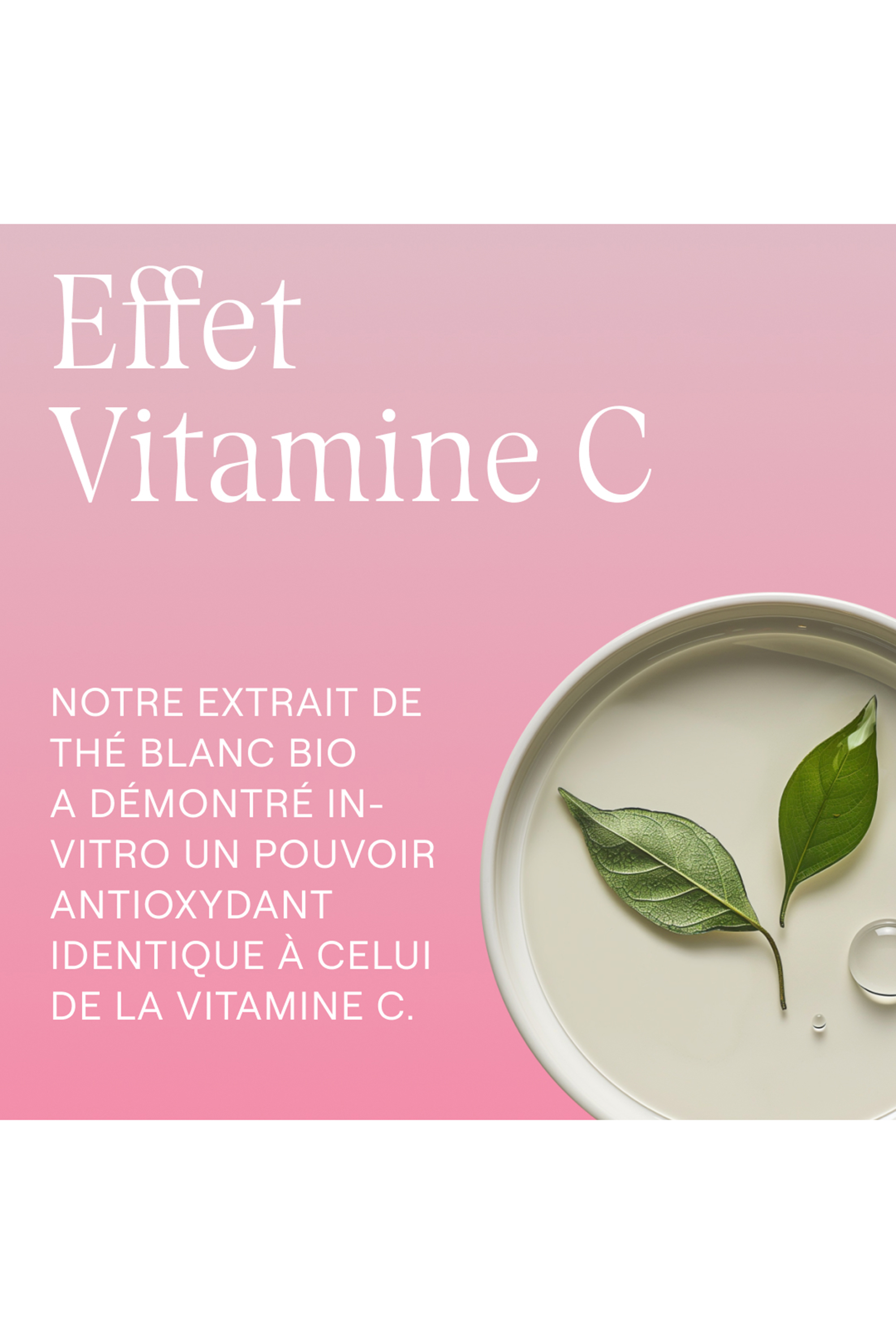 Contour des yeux lissant rose musquée & thé blanc