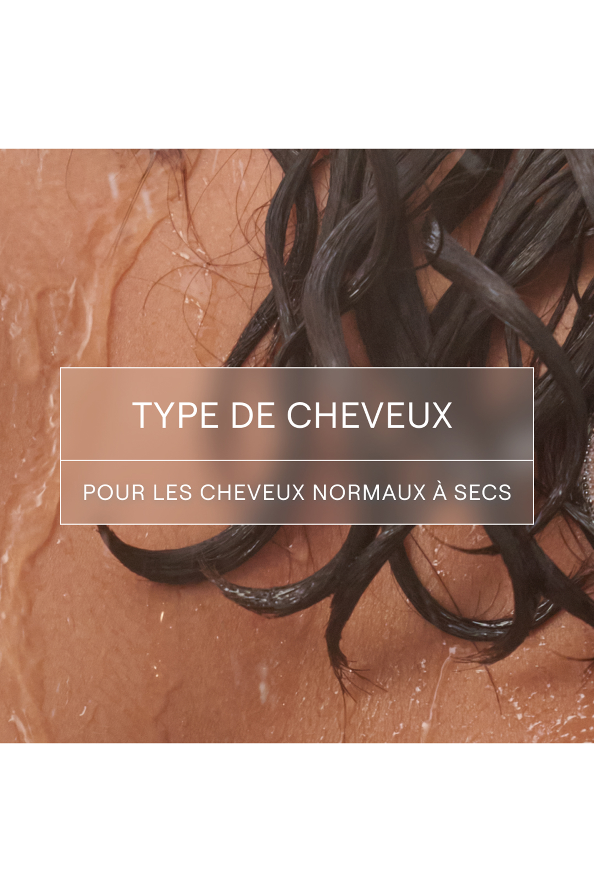 Shampooing solide hydratation & brillance