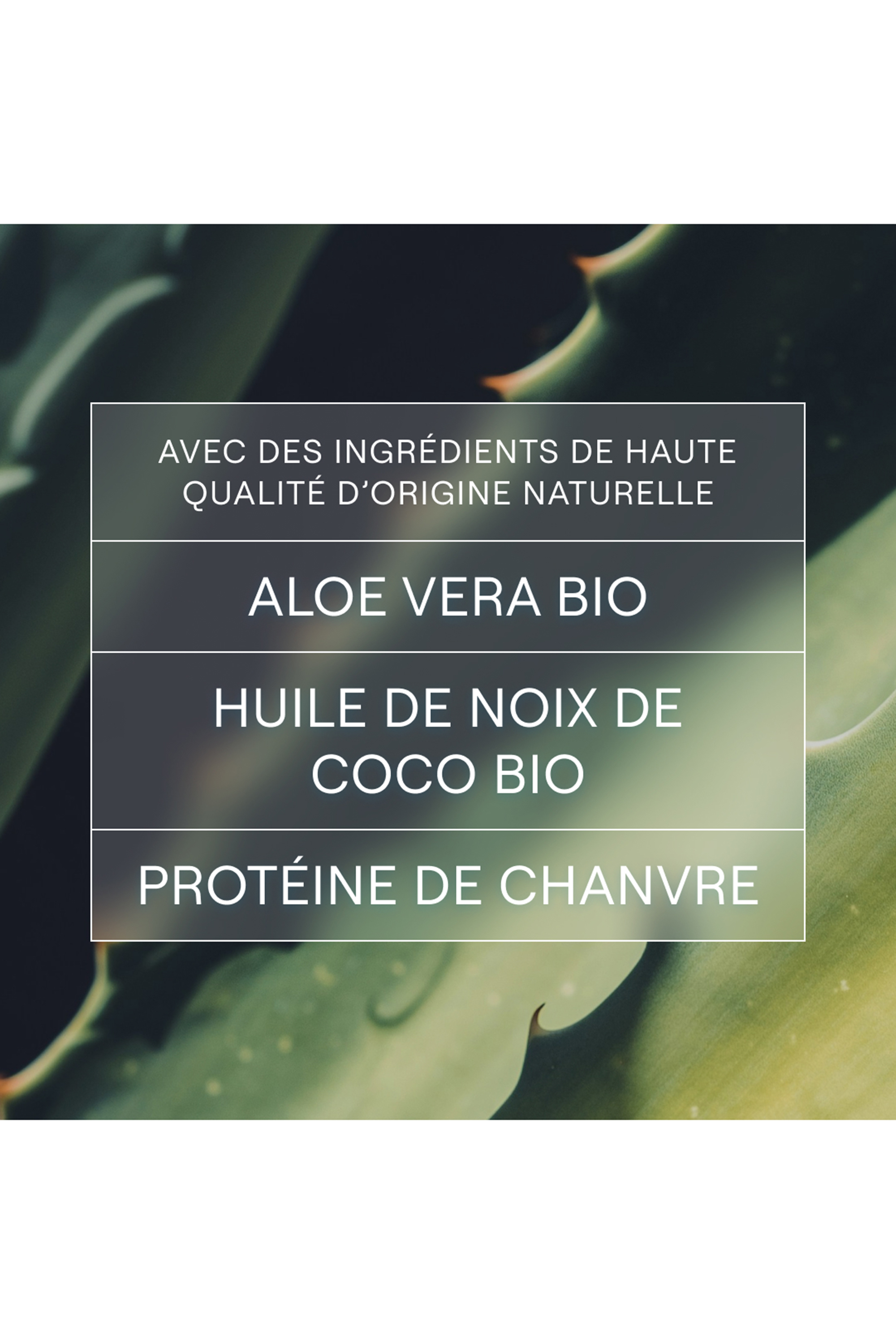 Shampooing solide hydratation & brillance