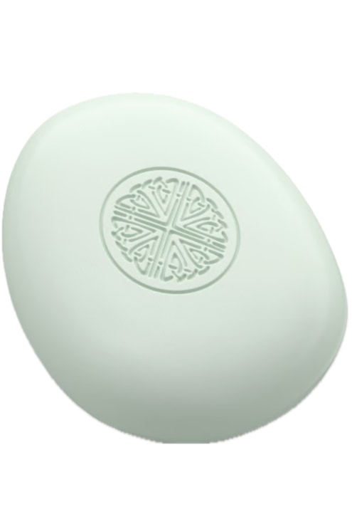 Soin nettoyant solide corps & cheveux The Ritual of Jing